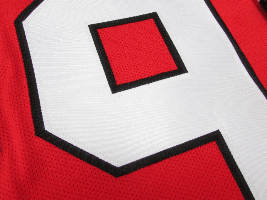 Corey Crawford Rockford Icehogs Premier Replica Red Jersey - Pro Jersey Sports