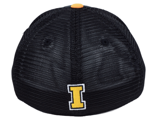 Mens Iowa Hawkeyes Chatter One Fit Flex Fit Hat By Top Of The World - Pro Jersey Sports