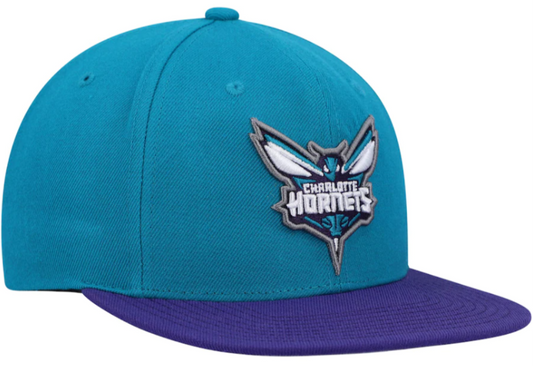 Men's Mitchell & Ness Teal/Purple Charlotte Hornets 2-Tone 2.0 Snapback Hat - Pro Jersey Sports