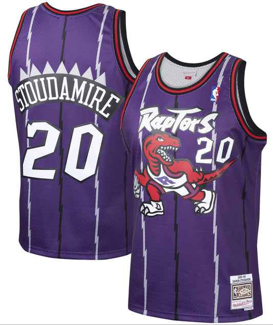 Men's Damon Stoudamire Toronto Raptors Mitchell & Ness 1995-96 Hardwood Classics Swingman Jersey - Purple - Pro Jersey Sports