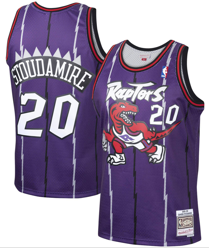 Men's Damon Stoudamire Toronto Raptors Mitchell & Ness 1995-96 Hardwood Classics Swingman Jersey - Purple - Pro Jersey Sports