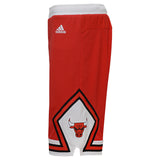 Youth Chicago Bulls Road Replica Red Shorts - Pro Jersey Sports