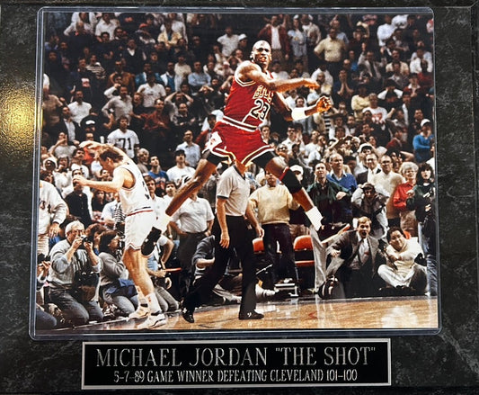 Chicago Bulls Michael Jordan "The Shot" Photo Plaque