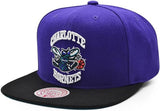 Men's Charlotte Hornets Mitchell & Ness NBA Core Basic HWC Purple/Black Snapback Hat - Pro Jersey Sports