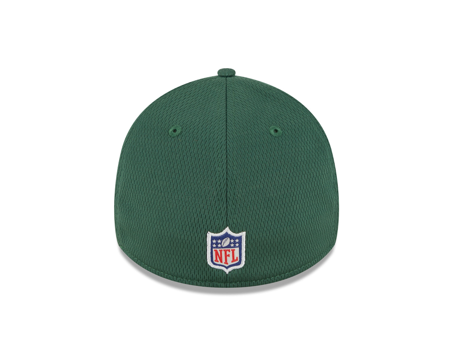 Men's Green Bay Packers New Era NFL 2023 Training Camp Green Primary Logo 39THIRTY Flex Fit Hat