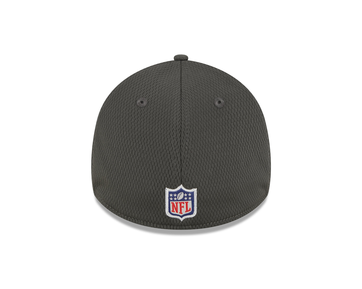 Men's Tampa Bay Buccaneers New Era NFL 2023 Training Camp Pewter Primary Logo 39THIRTY Flex Fit Hat