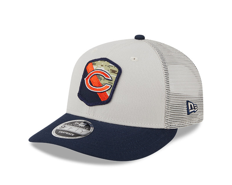 Men's Chicago Bears 2023 Salute To Service Secondary Logo Stone/Navy Low Profile 9FIFTY Mesh Snapback Hat