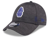 Men's Chicago Cubs Graphite 2024 Clubhouse Alternate 9FORTY Adjustable Hat - Pro Jersey Sports