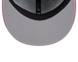 Chicago Cubs New Era 2 Tone Royal/Red Archive 9FIFTY Snapback Hat - Pro Jersey Sports