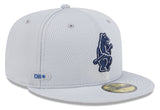 Chicago Cubs New Era Gray 2025 Clubhouse 59FIFTY Fitted Hat - Pro Jersey Sports