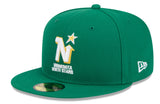 Minnesota North Stars Kelly Green Basic New Era 59FIFTY Fitted Hat - Pro Jersey Sports