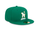 Minnesota North Stars Kelly Green Basic New Era 59FIFTY Fitted Hat - Pro Jersey Sports