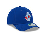 Chicago Cubs New Era Royal 2025 Batting Practice Alternate Player Replica 9FORTY M-Crown Adjustable Hat - Pro Jersey Sports