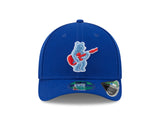 Chicago Cubs New Era Royal 2025 Batting Practice Alternate Player Replica 9FORTY M-Crown Adjustable Hat - Pro Jersey Sports