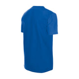 Men's Chicago Cubs New Era Distressed Alt 2 Logo Royal Blue Tee - Pro Jersey Sports