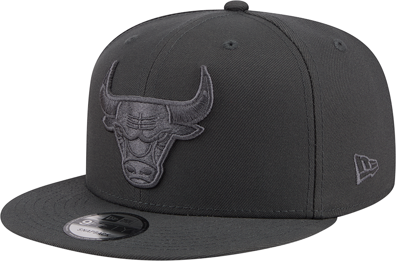 Men's NBA Chicago Bulls Storm Gray Color Pack 9Fifty Snapback Hat