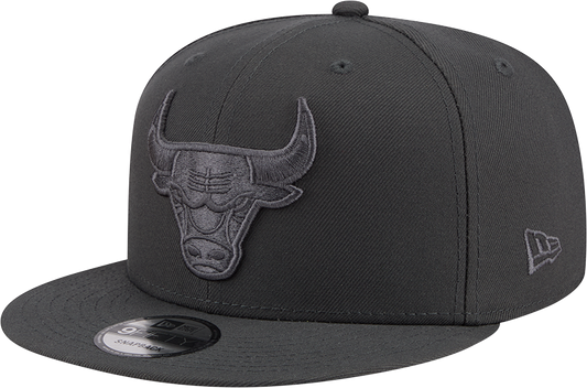 Men's NBA Chicago Bulls Storm Gray Color Pack 9Fifty Snapback Hat