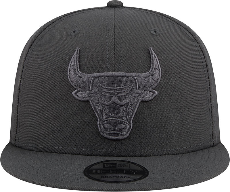 Men's NBA Chicago Bulls Storm Gray Color Pack 9Fifty Snapback Hat