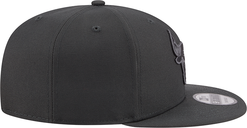 Men's NBA Chicago Bulls Storm Gray Color Pack 9Fifty Snapback Hat