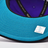 Men's Charlotte Hornets Mitchell & Ness NBA Core Basic HWC Purple/Black Snapback Hat - Pro Jersey Sports