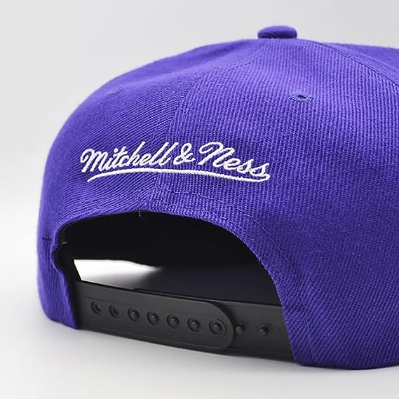 Men's Charlotte Hornets Mitchell & Ness NBA Core Basic HWC Purple/Black Snapback Hat