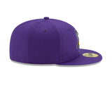 Minnesota Vikings Purple Basic 59FIFTY Fitted Hat - Pro Jersey Sports