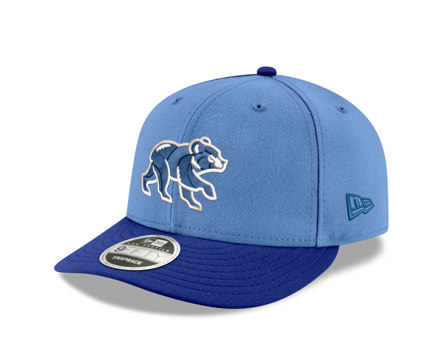 Chicago Cubs New Era Sky Blue/Royal Spring Training Bear Low Profile 9FIFTY Snapback Adjustable Hat