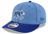Chicago Cubs New Era Sky Blue/Royal Spring Training Bear Low Profile 9FIFTY Snapback Adjustable Hat - Pro Jersey Sports