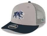 Chicago Cubs New Era Stone/Navy Spring Training Bear Low Profile 9FIFTY Mesh Back Snapback Adjustable Hat - Pro Jersey Sports