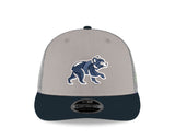 Chicago Cubs New Era Stone/Navy Spring Training Bear Low Profile 9FIFTY Mesh Back Snapback Adjustable Hat - Pro Jersey Sports