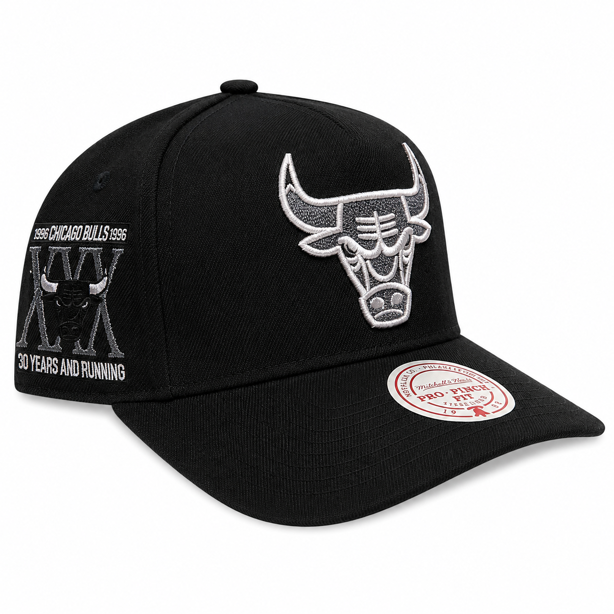 Chicago Bulls Mitchell & Ness NBA Core Jordan XI Pro Snapback Hat