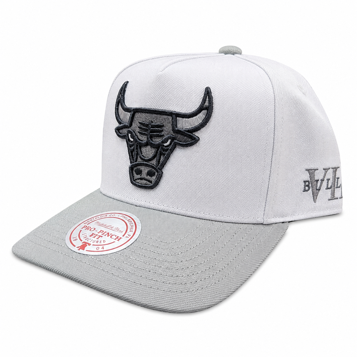 Chicago Bulls Mitchell & Ness NBA Core Jordan VII Pro Snapback Hat