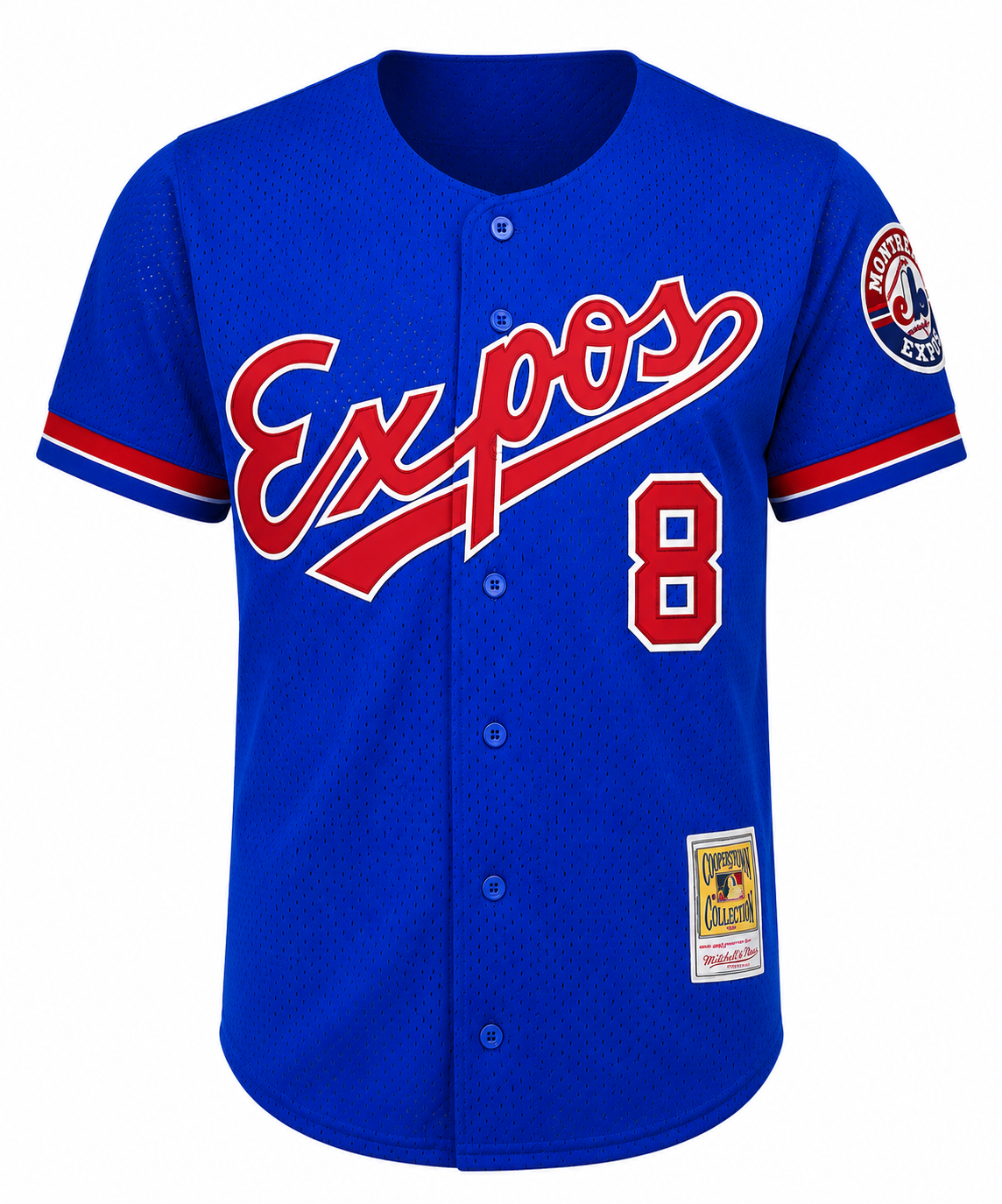 Men's Montreal Expos Gary Carter Mitchell & Ness Royal 1992 Authentic Cooperstown Collection Mesh Batting Practice Jersey
