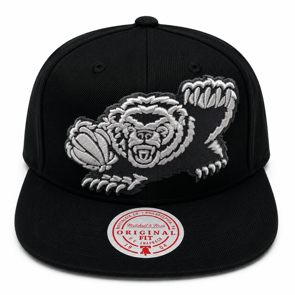 Men's Vancouver Grizzlies Mitchell & Ness NBA XL BWG HWC Snapback Hat