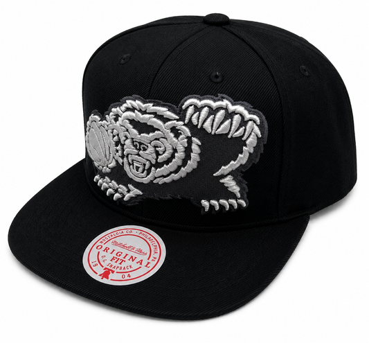 Men's Vancouver Grizzlies Mitchell & Ness NBA XL BWG HWC Snapback Hat