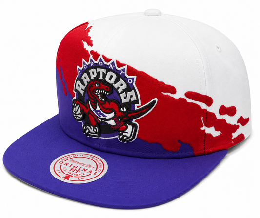 Toronto Raptors HWC NBA Paintbrush Mitchell & Ness Snapback Hat