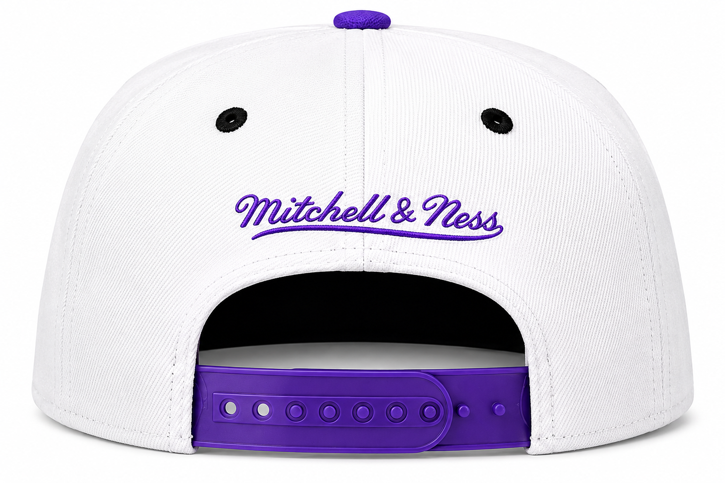 Toronto Raptors HWC NBA Paintbrush Mitchell & Ness Snapback Hat