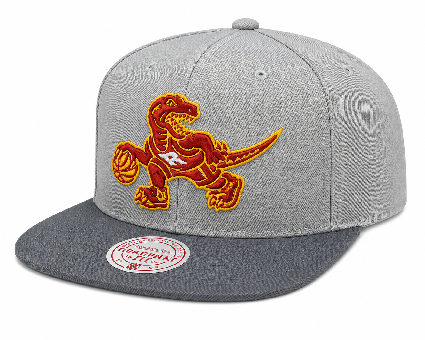 Men's Toronto Raptors NBA Cool Grey 3 HWC 2 Tone Mitchell & Ness Snapback Hat