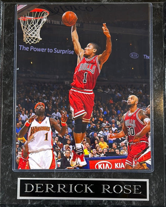 Chicago Bulls Derrick Rose Photo Plaque