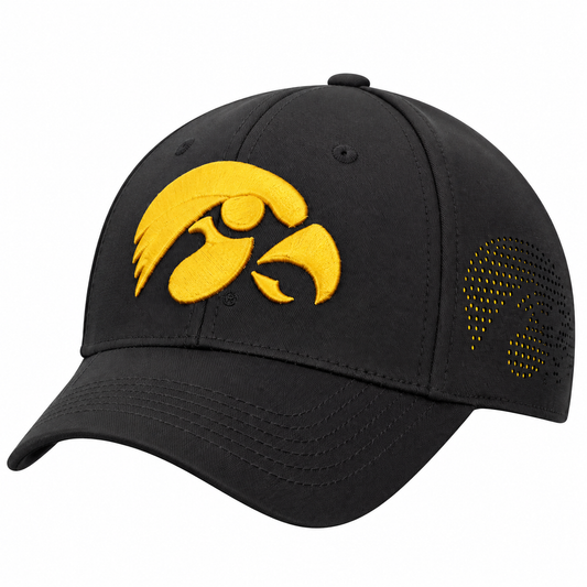 Iowa Hawkeyes Top of the World Rails One Fit Flex Hat