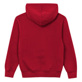 San Francisco 49ers Youth Back to Basics Red Hoodie - Pro Jersey Sports