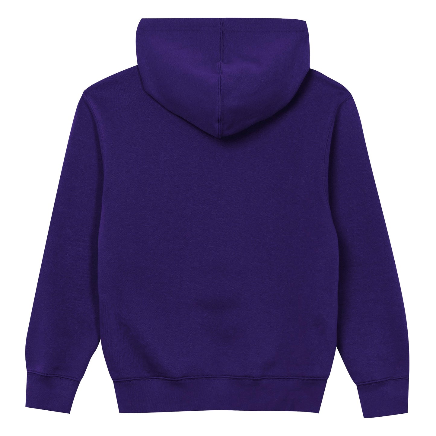 Minnesota Vikings Youth Back to Basics Purple Hoodie - Pro Jersey Sports