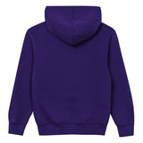 Minnesota Vikings Youth Back to Basics Purple Hoodie - Pro Jersey Sports