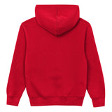 Chicago Bulls Child Back to Basics Red Hoodie - Pro Jersey Sports