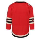 Youth Chicago Blackhawks Red 2025 NHL Winter Classic Premier Blank Jersey - Pro Jersey Sports
