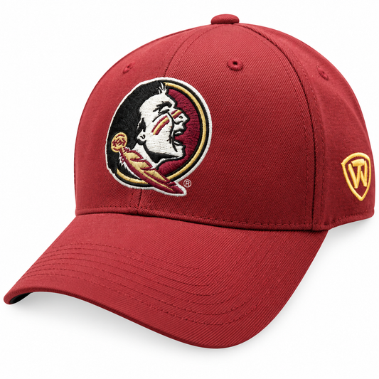 Mens NCAA Florida State Seminoles B.A.F. Memory Fit Hat