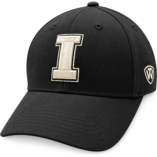 Mens NCAA Iowa Hawkeyes B.A.F. Black Memory Fit Hat