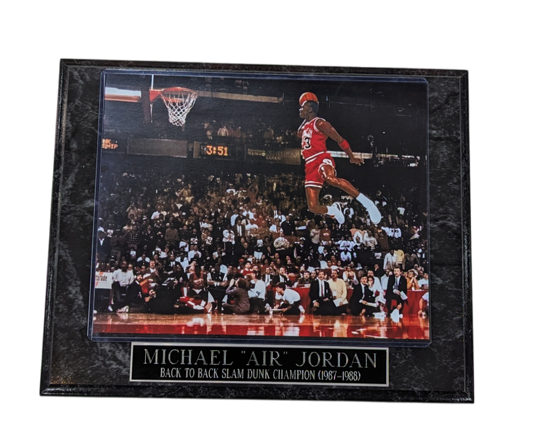 Michael Jordan Chicago Bulls 3:51 Wall Plaque
