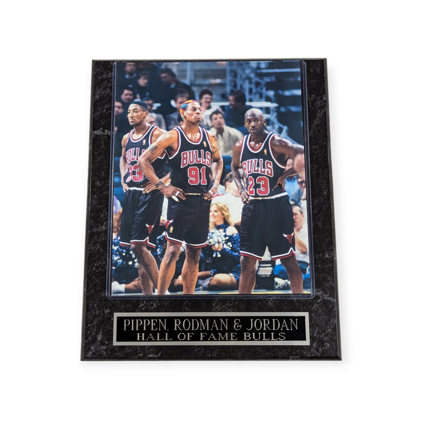 Dennis Rodman, Michael Jordan, & Scottie Pippen Chicago Bulls Wall Plaque