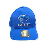 Kentucky Wildcats Nike Blue Adjustable Club Hat - Pro Jersey Sports